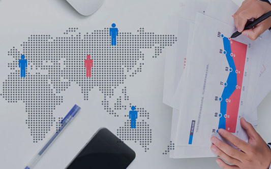 新疆石家莊門戶網站建設,石家莊B2B網站制作