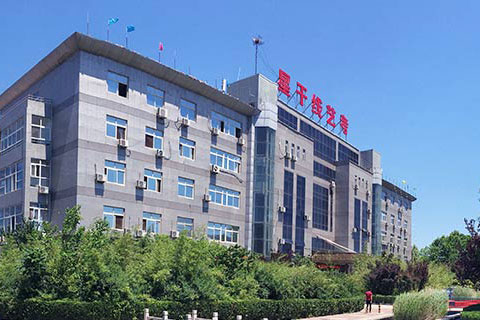 星干線藝考培訓學校網站建設制作推廣